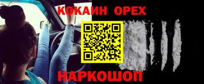 спиды Камышлов