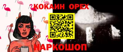 гашик Кандалакша