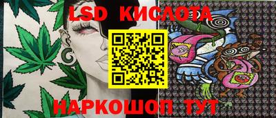 спиды Камышлов
