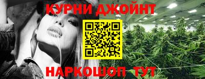 гашик Кандалакша
