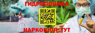 2c-b Канаш