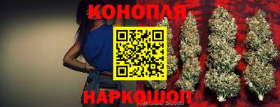 спиды Камышлов