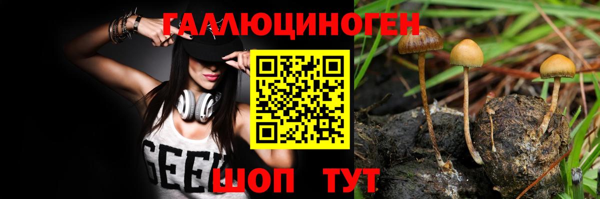Галлюциногенные грибы Cubensis  Псилоцибиновые грибы GOLDEN TEACHER  Озёрск  Вход с VPN 